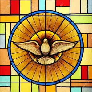 Meet your Posher, Toni